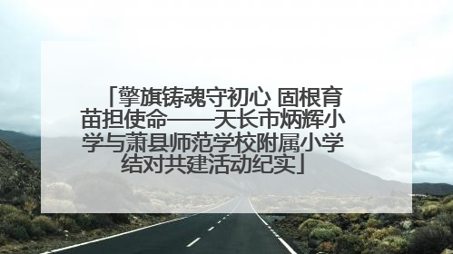 擎旗铸魂守初心 固根育苗担使命——天长市炳辉小学与萧县师范学校附属小学结对共建活动纪实