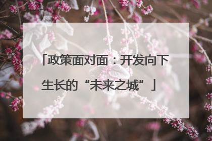 政策面对面：开发向下生长的“未来之城”