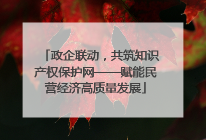 政企联动，共筑知识产权保护网——赋能民营经济高质量发展