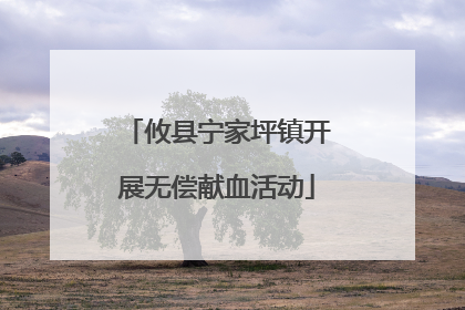 攸县宁家坪镇开展无偿献血活动