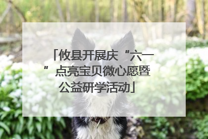 攸县开展庆“六一”点亮宝贝微心愿暨公益研学活动