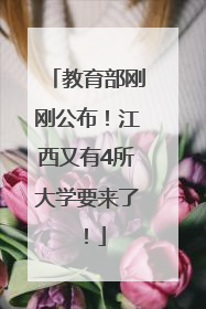 教育部刚刚公布！江西又有4所大学要来了！