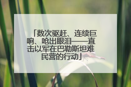 数次驱赶、连续巨响、呛出眼泪——直击以军在巴勒斯坦难民营的行动