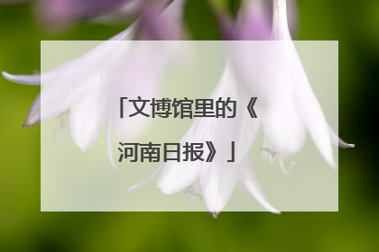 文博馆里的《河南日报》
