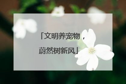 文明养宠物,蔚然树新风