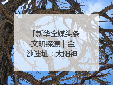 新华全媒头条·文明探源｜金沙遗址：太阳神鸟起飞的地方