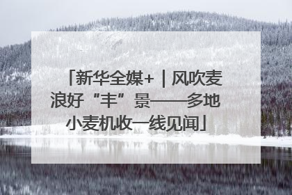 新华全媒+｜风吹麦浪好“丰”景——多地小麦机收一线见闻
