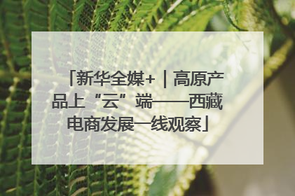新华全媒+｜高原产品上“云”端——西藏电商发展一线观察