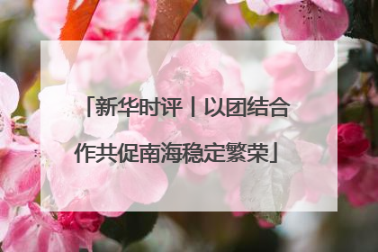 新华时评丨以团结合作共促南海稳定繁荣