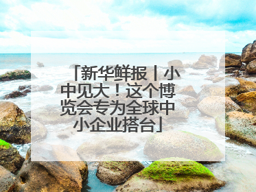 新华鲜报丨小中见大！这个博览会专为全球中小企业搭台