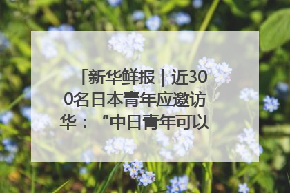 新华鲜报｜近300名日本青年应邀访华：“中日青年可以创造更好的未来”