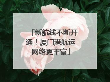 新航线不断开通！厦门港航运网络更丰富