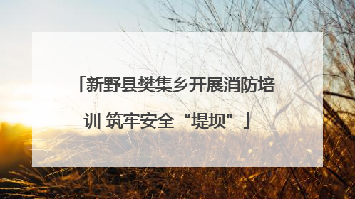 新野县樊集乡开展消防培训 筑牢安全“堤坝”
