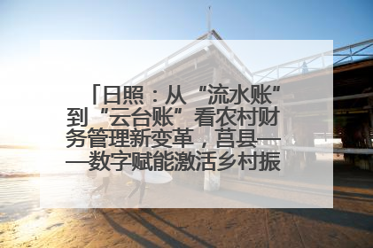 日照：从“流水账”到“云台账”看农村财务管理新变革，莒县——数字赋能激活乡村振兴“一池春水”