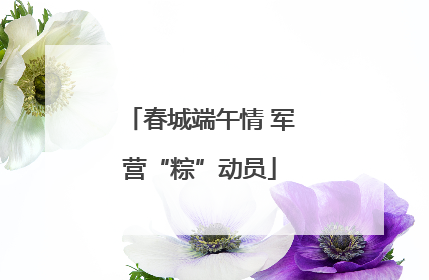 春城端午情 军营“粽”动员