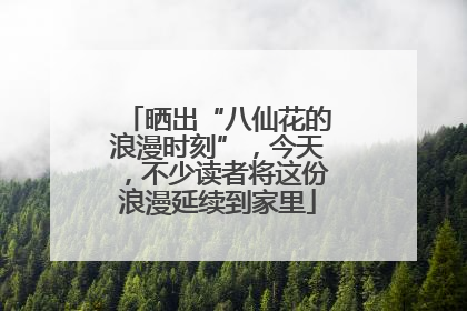 晒出“八仙花的浪漫时刻”，今天，不少读者将这份浪漫延续到家里