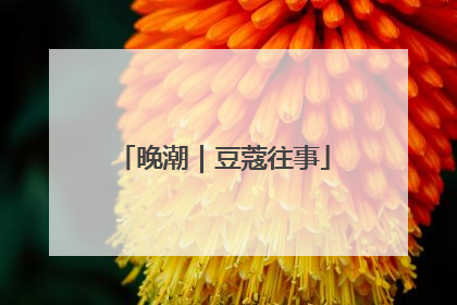 晚潮｜豆蔻往事
