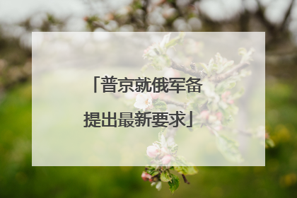 普京就俄军备提出最新要求