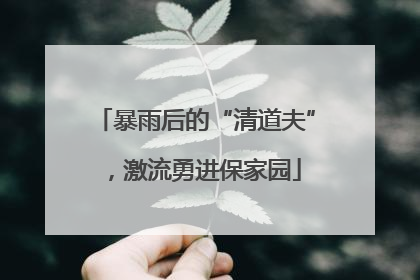 暴雨后的“清道夫”，激流勇进保家园