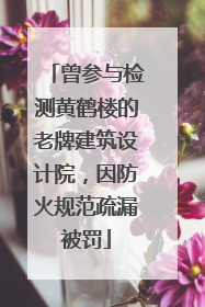 曾参与检测黄鹤楼的老牌建筑设计院，因防火规范疏漏被罚