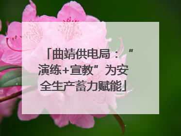 曲靖供电局：“演练+宣教”为安全生产蓄力赋能