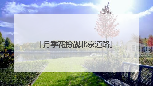 月季花扮靓北京道路