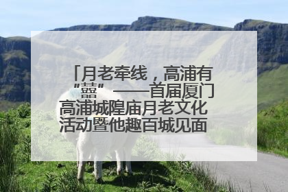月老牵线，高浦有“囍”——首届厦门高浦城隍庙月老文化活动暨他趣百城见面会隆重举办