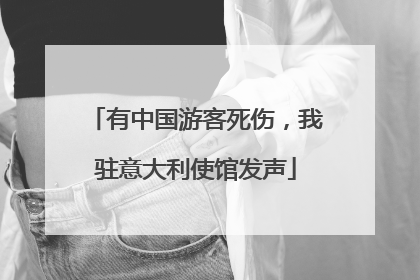 有中国游客死伤，我驻意大利使馆发声
