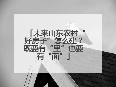未来山东农村“好房子”怎么建？既要有“里”也要有“面”