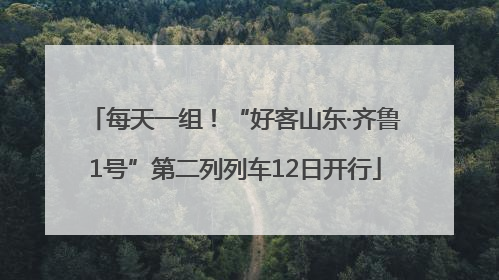 每天一组！“好客山东·齐鲁1号”第二列列车12日开行