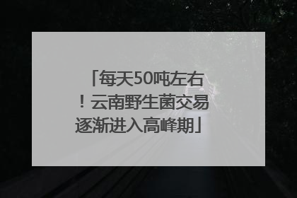 每天50吨左右！云南野生菌交易逐渐进入高峰期