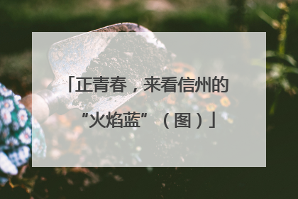 正青春，来看信州的“火焰蓝”（图）