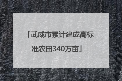 武威市累计建成高标准农田340万亩