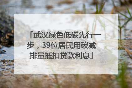 武汉绿色低碳先行一步，39位居民用碳减排量抵扣贷款利息