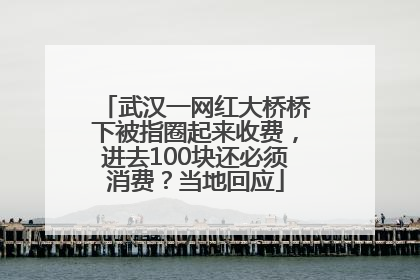 武汉一网红大桥桥下被指圈起来收费，进去100块还必须消费？当地回应