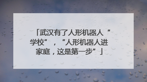 武汉有了人形机器人“学校”，“人形机器人进家庭，这是第一步”