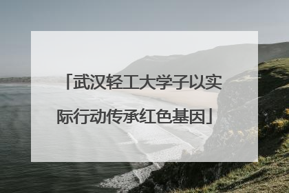 武汉轻工大学子以实际行动传承红色基因