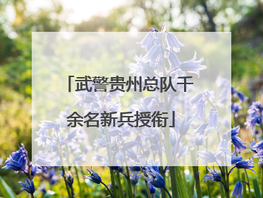 武警贵州总队千余名新兵授衔