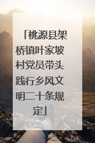 桃源县架桥镇叶家坡村党员带头践行乡风文明二十条规定