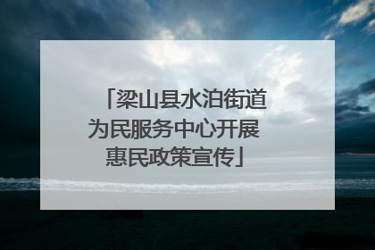 梁山县水泊街道为民服务中心开展惠民政策宣传