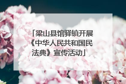 梁山县馆驿镇开展《中华人民共和国民法典》宣传活动