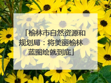 榆林市自然资源和规划局：将美丽榆林蓝图绘就到底