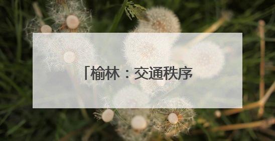 榆林：交通秩序焕“新” 人车出行有“礼”