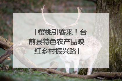 樱桃引客来！台前县特色农产品映红乡村振兴路