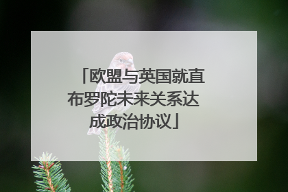 欧盟与英国就直布罗陀未来关系达成政治协议