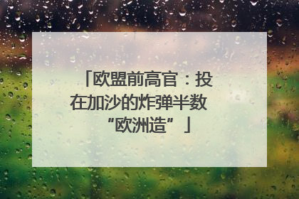 欧盟前高官：投在加沙的炸弹半数“欧洲造”