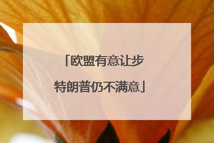 欧盟有意让步 特朗普仍不满意