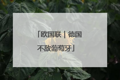欧国联｜德国不敌葡萄牙