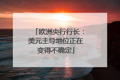 欧洲央行行长：美元主导地位正在变得不确定