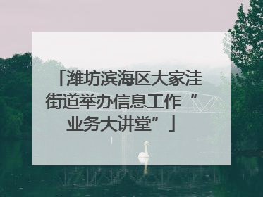 潍坊滨海区大家洼街道举办信息工作“业务大讲堂”